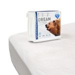 protrector-Dream-4
